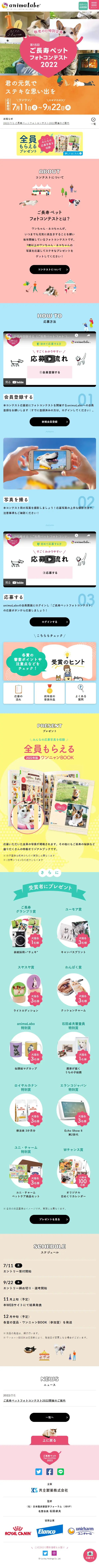 Senior Pet Photo Contest LP design (Events, Campaigns, Experiences / Multi-color type / Cute style) Mobile version