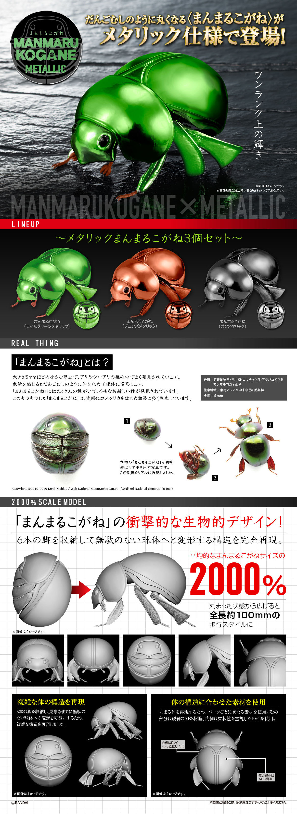 メタリックまんまるこがねのLPデザイン（玩具・ホビー・フィギュア／ブラック系／信頼・安心系）PC版