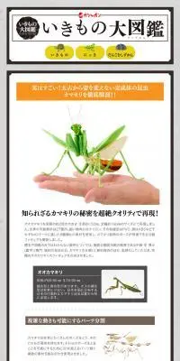 いきもの大図鑑　かまきりのLPデザイン（玩具・ホビー・フィギュア／ホワイト系／信頼・安心系）PC版