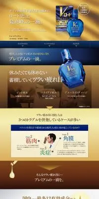 VロートプレミアムのLPデザイン（応急手当・保護用品／ブルー系／信頼・安心系）PC版