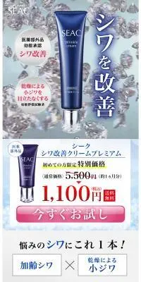 シーク　シワ改善クリームプレミアムのLPデザイン（スキンケア・ボディケア・ヘアケア／ブルー系／健康・癒し系）PC版