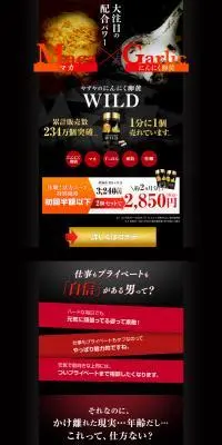 やずやのにんにく卵黄WILDのLPデザイン（健康食品・健康ドリンク・サプリメント／ブラック系／力強い系）PC版