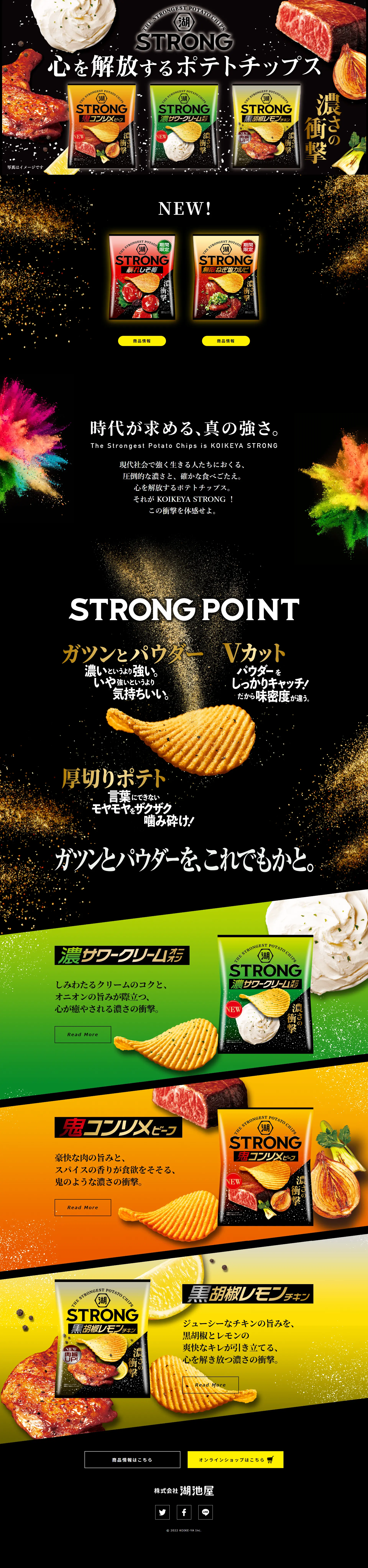 湖池屋STRONGのLPデザイン（スナック・ガム・あめ・グミ／ゴールド系／かっこいい系）PC版