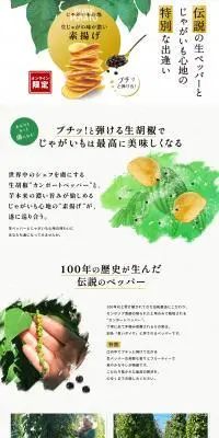 じゃがいも心地 素揚げカンポートペッパーセットのLPデザイン（スナック・ガム・あめ・グミ／グリーン系／信頼・安心系）PC版