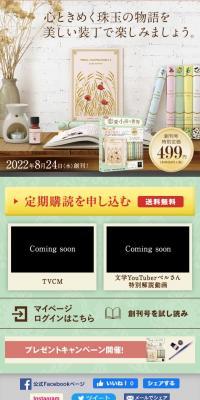 World Masterpiece Romance Novel Book Collection