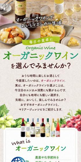 Organic wine LP design (win_champagne / White-based / Organic) Mobile version