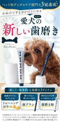 Bow Dent-バウデント-のLPデザイン（ペットフード ・ ペット用品／ブルー系／キレイ系）PC版