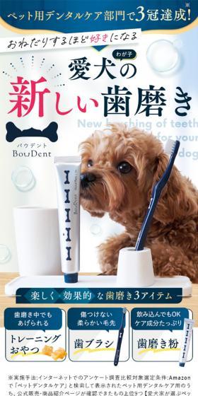 New Dental Care for Your Beloved Dog