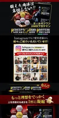 パーフェクトパンププロテインのLPデザイン（健康食品・健康ドリンク・サプリメント／ブラック系／力強い系）PC版
