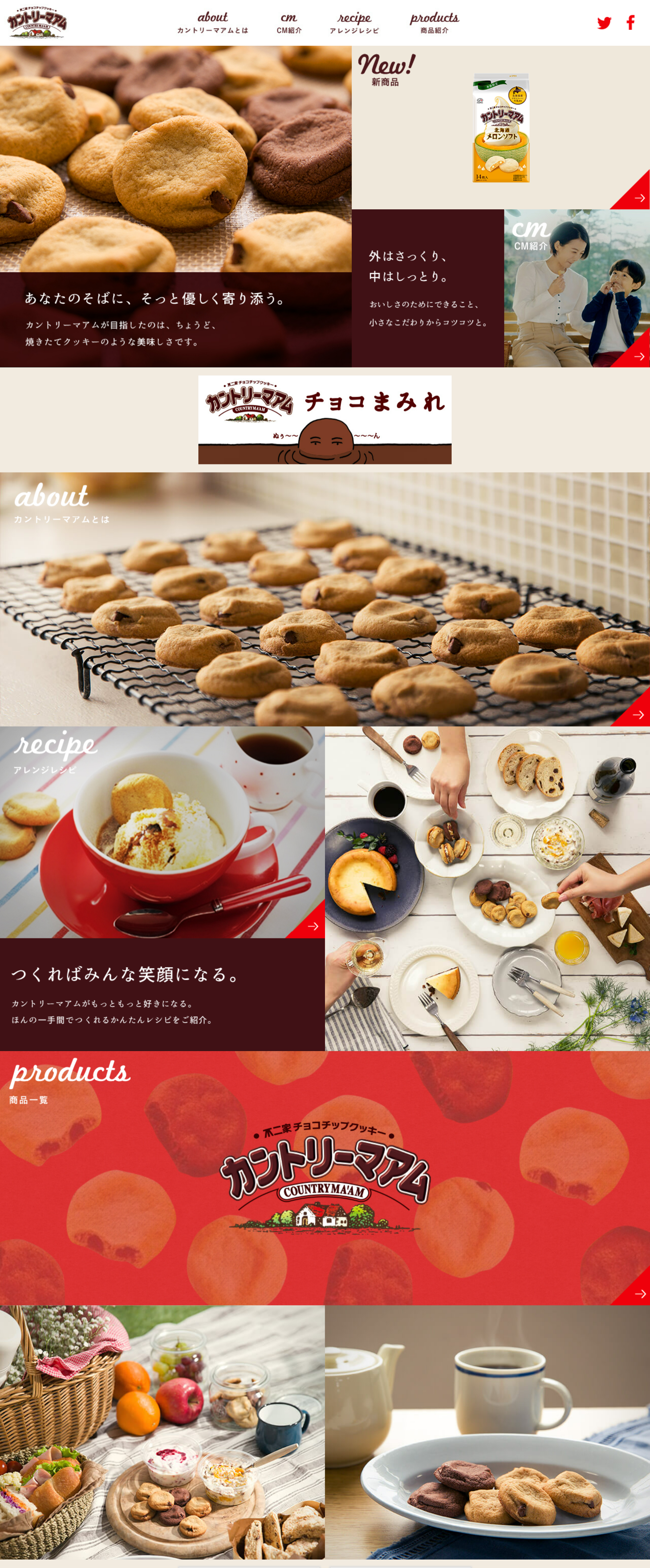 Fujiya Chocolate Chip Cookie Country Ma'am LP design (Snack foods, gum, and candy / Brown tones / Trust and Safety)