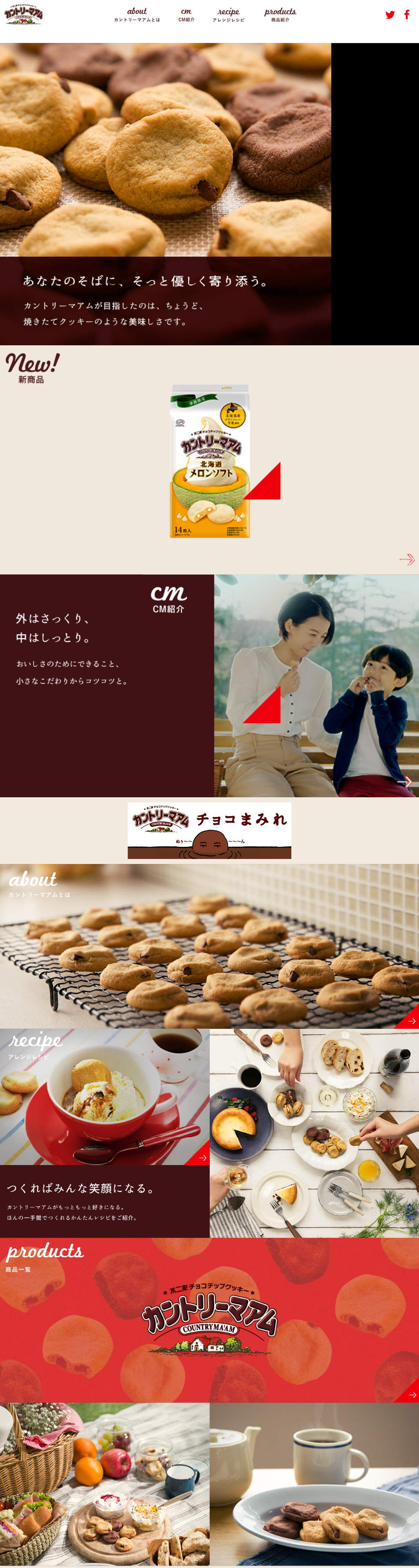 Fujiya Chocolate Chip Cookie Country Ma'am LP design (Snack foods, gum, and candy / Brown tones / Trust and Safety)