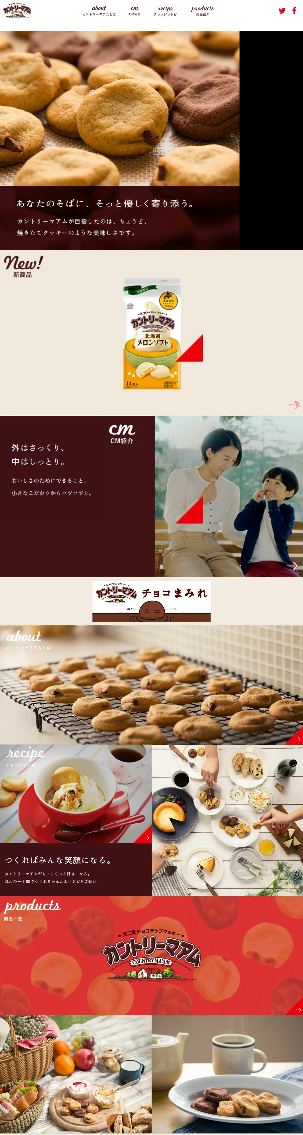 Fujiya Chocolate Chip Cookie Country Ma'am LP design (Snack foods, gum, and candy / Brown tones / Trust and Safety) Mobile version