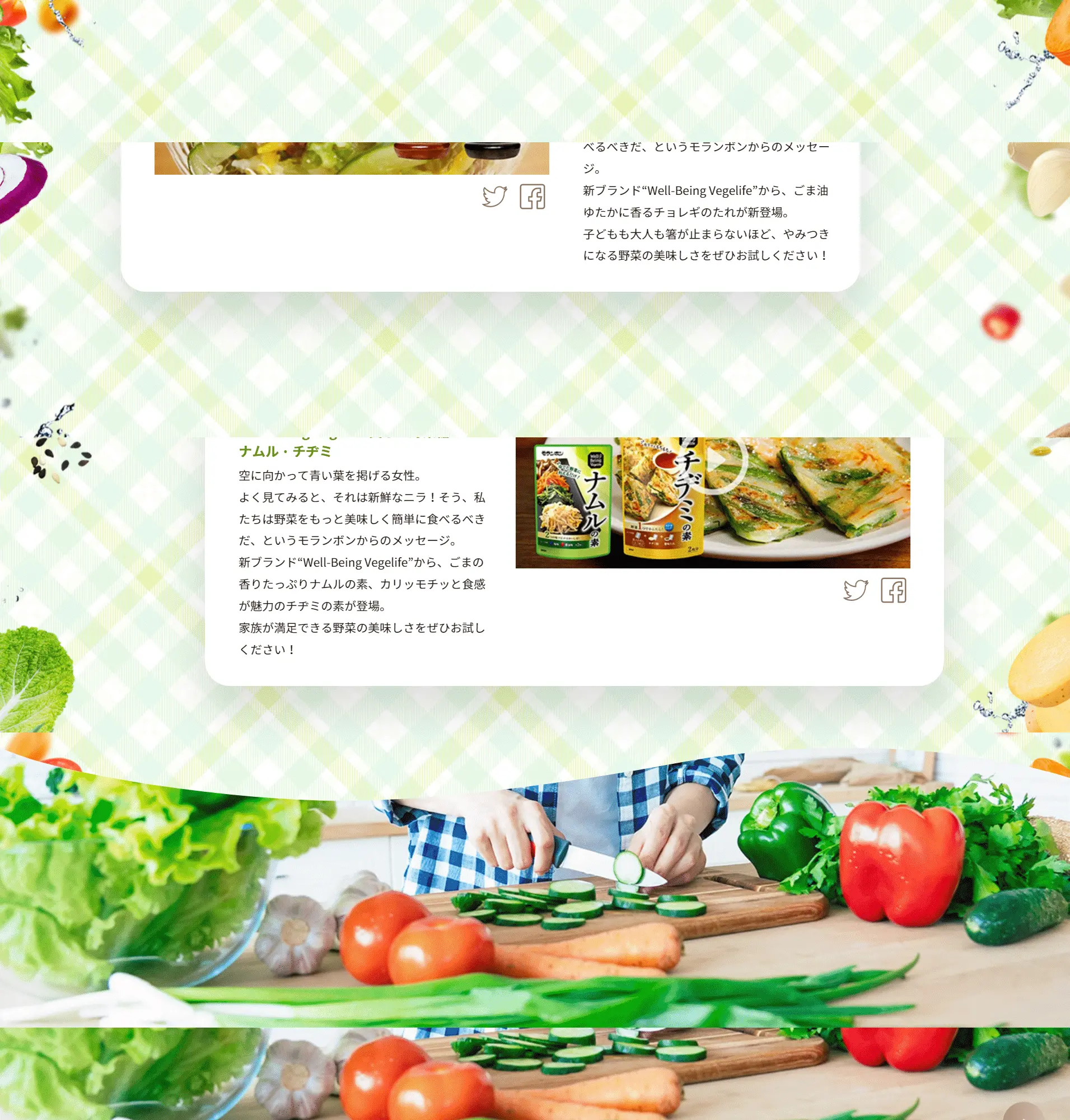 Well Being VegelifeのLPデザイン（調味料・甘味料・ダシ・スープ／ホワイト系／シンプル系）PC版