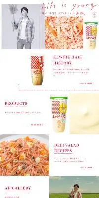キユーピーハーフのLPデザイン（調味料・甘味料・ダシ・スープ／レッド系／シンプル系）PC版