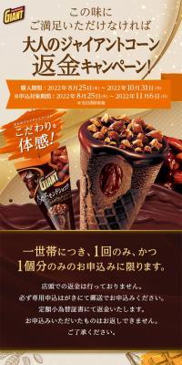 Adult Giant Cone Refund Campaign!