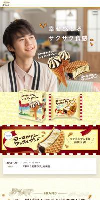European Sugar Cone