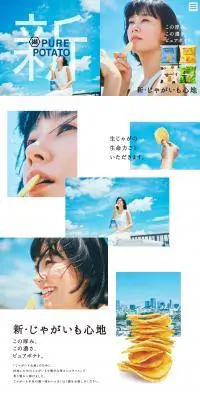 PURE POTATO じゃがいも心地のLPデザイン（スナック・ガム・あめ・グミ／ブルー系／信頼・安心系）PC版
