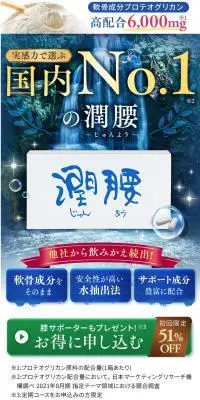 潤腰のLPデザイン（健康食品・健康ドリンク・サプリメント／ブルー系／キレイ系）PC版