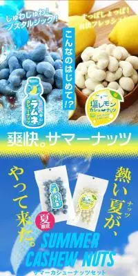 サマーカシューナッツセットのLPデザイン（スナック・ガム・あめ・グミ／ブルー系／清潔系）PC版
