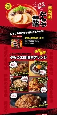 やみつきとんこつ辛味噌のLPデザイン（調味料・甘味料・ダシ・スープ／レッド系／力強い系）PC版
