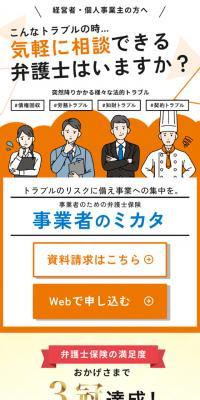 Lawyer's Insurance 12