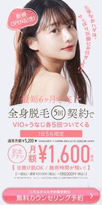 Full Body Hair Removal