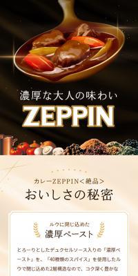 Curry ZEPPIN
