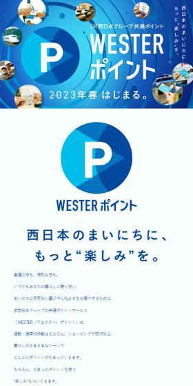WESTER Point LP design (Domestic and international travel / Shades of blue / Trust and Safety) Mobile version
