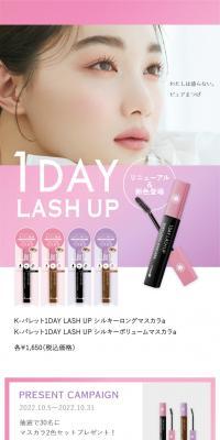 1DAYLASHUP