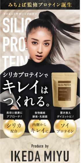 Silica Protein LP design (Diet supplements and diet drinks / Brown tones / Refined style) Mobile version