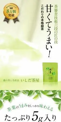 濃旨緑茶ティーバッグのLPデザイン（お茶・紅茶・珈琲／グリーン系／爽やか系）PC版