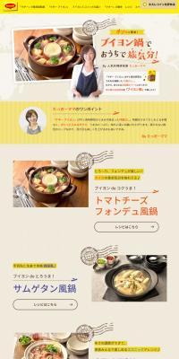 Maggi Bouillon