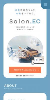 E-commerce platform service for beauty salons Salon.EC