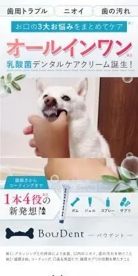 Bow Dent-バウデント-のLPデザイン（ペットフード ・ ペット用品／ブルー系／かわいい系）PC版