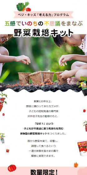 Vegetable cultivation kit LP design (Flowers, Houseplants, Artificial Flowers / Pink shades / Simple) Mobile version