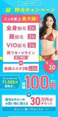 VIO含む全身・顔脱毛2回＋両ワキ＋VラインのLPデザイン（エステ・脱毛・増毛・整形／ホワイト系／キレイ系）PC版