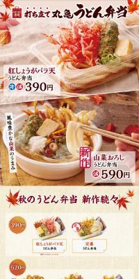 Freshly Made Marugame Udon Bento