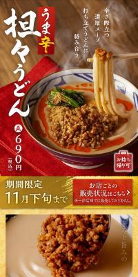 Spicy and Flavorful Tantan Udon