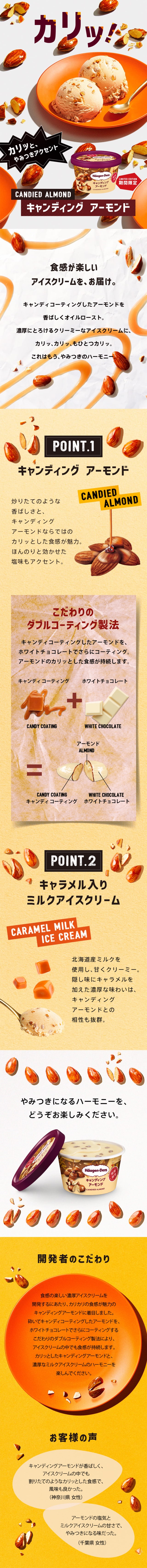 キャンディングアーモンドのLPデザイン（洋菓子／ベージュ系／にぎやか系）