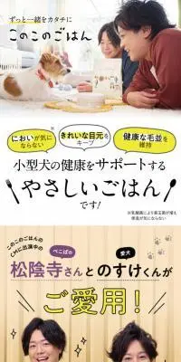 このこのごはんのLPデザイン（ペットフード ・ ペット用品／ホワイト系／スタイリッシュ系）PC版