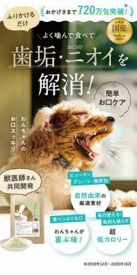 お口げんき このこのふりかけのLPデザイン（玩具・ホビー・フィギュア／ホワイト系／スタイリッシュ系）PC版