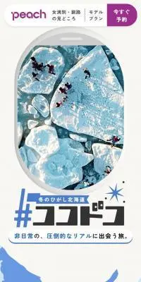 冬のひがし北海道 #ココドコのLPデザイン（国内旅行・海外旅行／グレー系／シンプル系）スマホ版