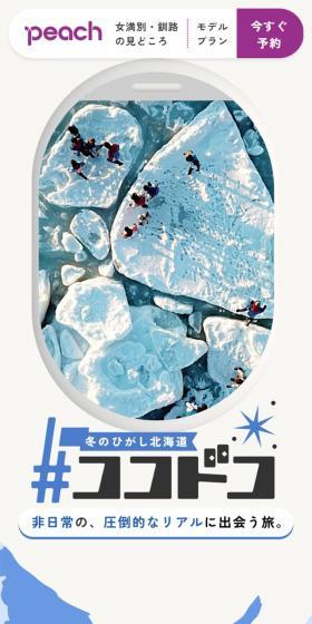 冬のひがし北海道 #ココドコのLPデザイン（国内旅行・海外旅行／グレー系／シンプル系）スマホ版
