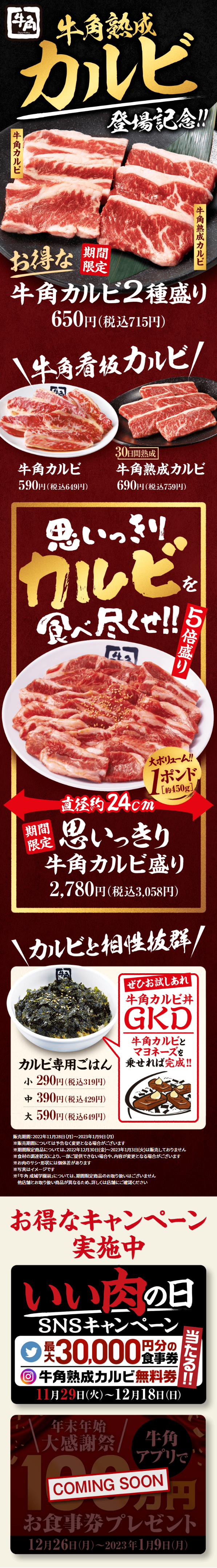 Gyukaku Karubi 2-Variety Platter LP design (Meat and Meat Products / Black-colored / Trust and Safety)