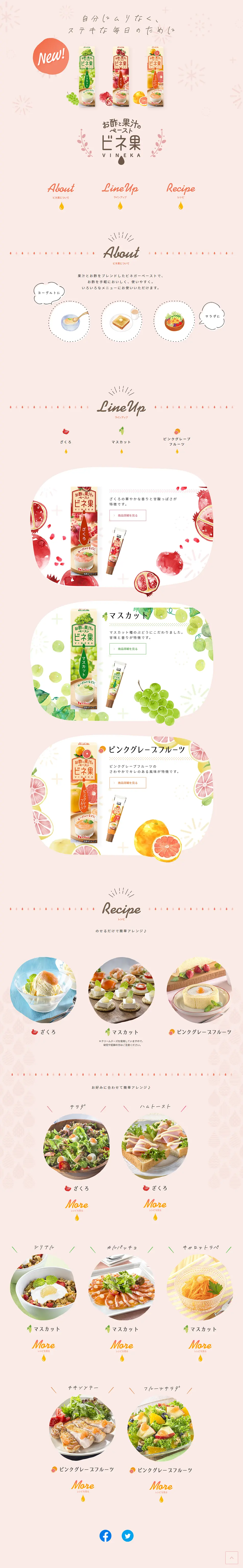 ビネ果のLPデザイン（調味料・甘味料・ダシ・スープ／オレンジ系／かわいい系）PC版