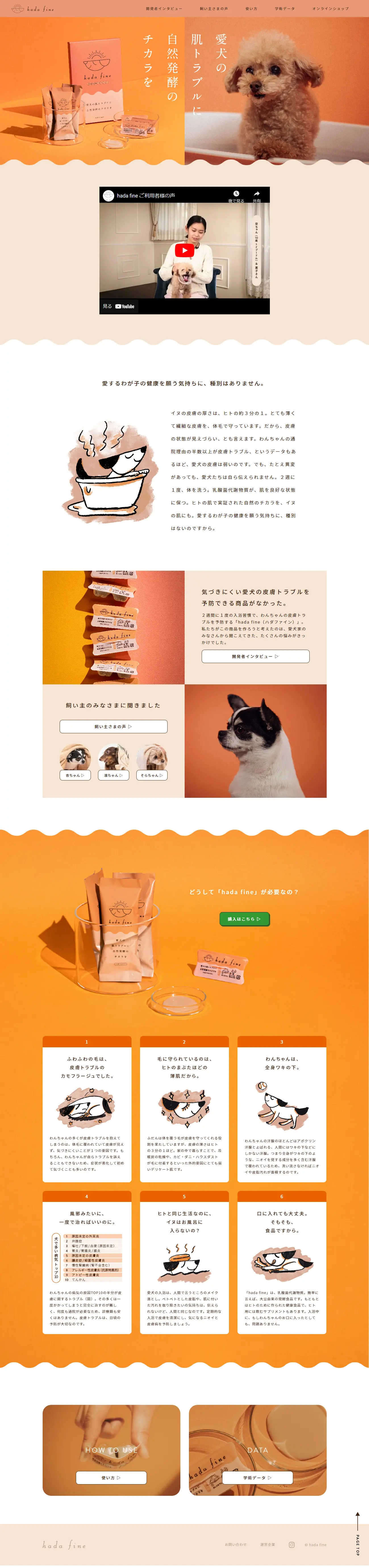 hadafine LP design (Pet food and pet supplies / Orange tones / Cute style) PC version