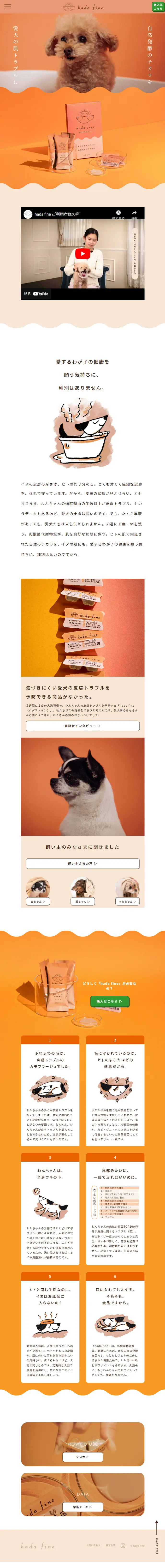 hadafine LP design (Pet food and pet supplies / Orange tones / Cute style) Mobile version