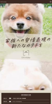 LiLi & LuLu Co., Ltd.