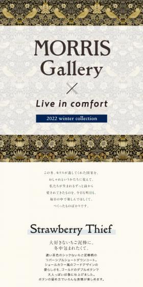 MORRISGallery LP design (Women's fashion / Gold tones / Simple) Mobile version