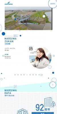 Careers Website